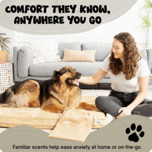Case Studies