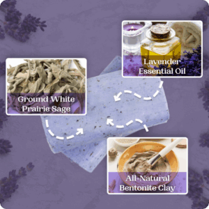 Case Studies